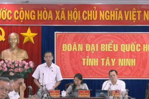 Bộ trưởng Bộ Công Thương trả lời về giải pháp tháo gỡ khó khăn trong nhập khẩu mặt hàng mía cây