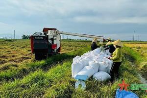 Quảng Bình được mùa vụ Hè Thu