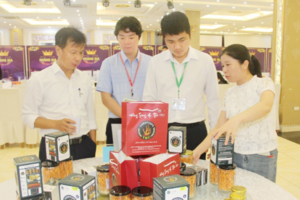 Công nghệ sinh học - công cụ phát triển nông nghiệp bền vững