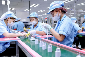 Vĩnh Phúc thu hút 15 dự án đầu tư của doanh nghiệp Thái Lan