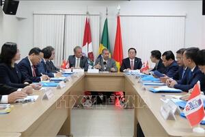 Thúc đẩy quan hệ Việt Nam - Brazil phát triển lên tầm cao mới