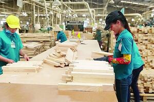 Xuất khẩu nông lâm thủy sản năm 2024: Cầm chắc trong tay 54 - 55 tỷ USD