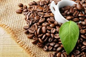 Tháng 8/2024, Việt Nam xuất khẩu gần 59 nghìn tấn cà phê Robusta