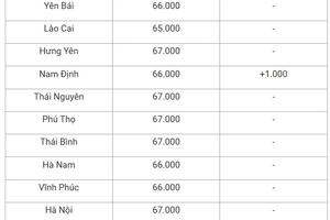 Giá heo hơi hôm nay 19/9/2024: Tăng nhẹ 1.000 đồng/kg ở cả 3 miền, cao nhất 67.000 đồng/kg