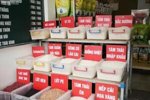 Giá lúa gạo hôm nay (4-10): Giá gạo tăng nhẹ