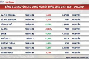 Giá cà phê xuất khẩu lao dốc ngay trước thềm vụ thu hoạch mới