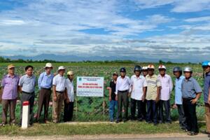 Thừa Thiên - Huế: Hiệu quả từ mô hình trồng sen trên đất lúa