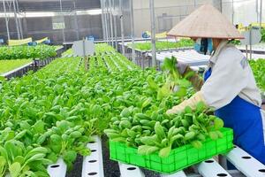 Đưa chuyển đổi số, khoa học công nghệ vào sản xuất nông nghiệp