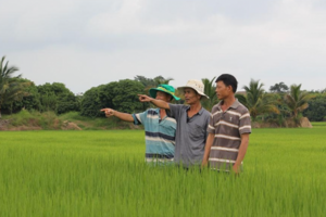 Nâng cao vai trò, vị thế của nông dân