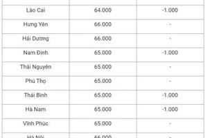 Giá heo hơi hôm nay 16/10/2024: Giảm mạnh trên cả nước