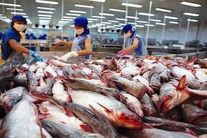 Xuất khẩu cá tra sang thị trường Trung Quốc giảm tháng thứ 3 kể từ đầu năm 2024