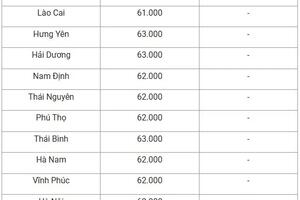 Giá heo hơi hôm nay 31/10/2024: Thị trường đi ngang, miền Bắc cao nhất cả nước 63.000 đồng/kg