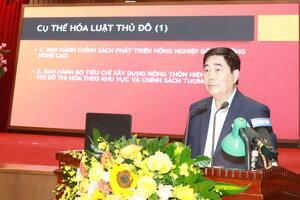 Luật Thủ đô: Mở hành lang phát triển nông nghiệp đô thị