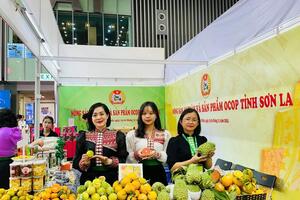 Sơn La tham gia Triển lãm quốc tế công nghiệp thực phẩm Việt Nam 2024