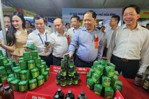 Hoà Bình: Nguồn lực cho phát triển kinh tế - xã hội vùng đồng bào dân tộc thiểu số và miền núi