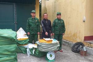 Đồn Biên phòng Trà Cổ thu giữ, tiêu hủy 880kg nầm lợn không nguồn gốc