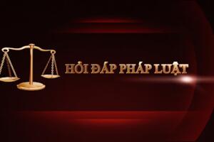 Hỏi-đáp pháp luật: Mức xử phạt hành vi vi phạm quy định về kê khai giá hàng hóa, dịch vụ