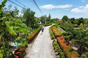 Xây dựng nông thôn mới thông minh ở Bạc Liêu và Cà Mau