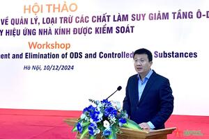 Quản lý, loại trừ các chất làm suy giảm tầng ôzôn