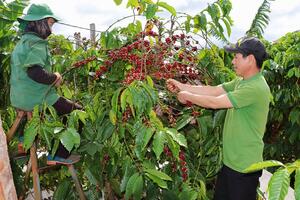 Vươn lên làm kinh tế giỏi từ mô hình nông nghiệp tổng hợp