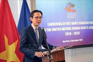 Việt Nam công bố tái ứng cử vào Hội đồng Nhân quyền Liên hợp quốc nhiệm kỳ 2026-2028