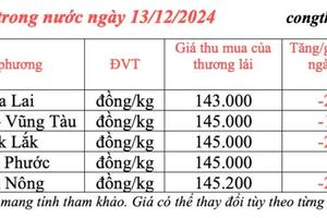 Giá tiêu hôm nay 13/12/2024: Giá tiêu trong nước giảm nhẹ