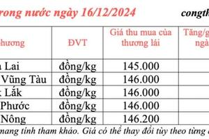 Giá tiêu hôm nay 16/12/2024: Giá tiêu trong nước hôm nay đi ngang