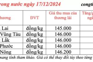 Giá tiêu hôm nay 17/12/2024: Giá tiêu trong nước hôm nay đang neo ở mức cao