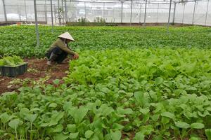 Hà Nội thúc đẩy sản xuất và tiêu dùng bền vững