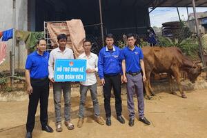 Tặng bò cho đoàn viên dân tộc thiểu số có hoàn cảnh khó khăn