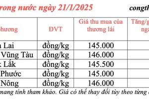 Giá tiêu hôm nay 21/1/2025, trong nước ổn định ở mức cao