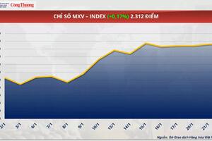 Giá cà phê Robusta tăng gần 4% lên mức 5.452 USD/tấn