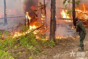 Ban CHQS thị xã Quảng Yên phối hợp chữa cháy rừng