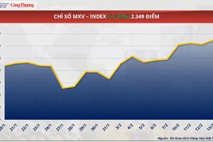 Giá cà phê Robusta chạm mức cao nhất, vượt 5.800 USD/tấn