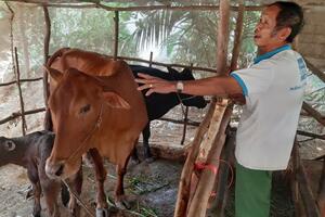 Trà Vinh huy động các nguồn lực để giảm nghèo