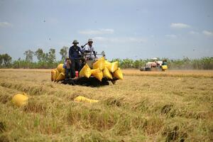 Đồng bằng sông Cửu Long: Hiện thực hóa mục tiêu nông nghiệp Net Zero