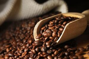 Bản tin nông sản hôm nay (3-3): Ổn định ngày đầu tuần