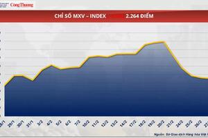 Thị trường hàng hoá: Giá ngô kéo dài chuỗi giảm 6 phiên