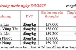 Giá tiêu hôm nay 5/3/2025, trong nước duy trì mức tăng