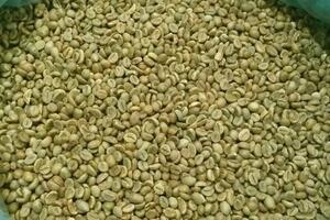 Algeria miễn giảm thuế nhập khẩu cà phê, cơ hội cho doanh nghiệp Việt