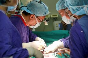 Những bước tiến vượt bậc trong chuyên ngành ghép tạng