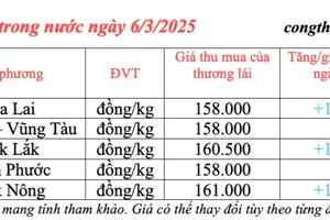 Giá tiêu hôm nay 6/3/2025, trong nước giữ đà tăng