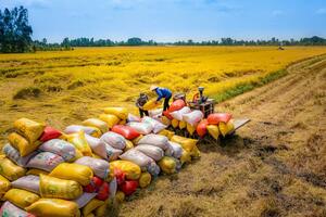 Dấu mốc hợp tác mới thương mại, công nghiệp Việt Nam - Indonesia