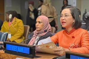 Việt Nam đề xuất 3 lĩnh vực ưu tiên trong thúc đẩy bình đẳng giới