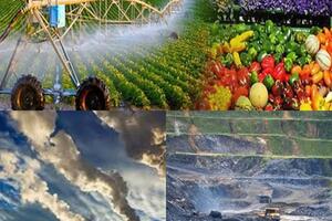 Cơ sở mua bán, nhập khẩu thức ăn thủy sản, sản phẩm xử lý môi trường nuôi trồng thủy sản phải đáp ứng được những điều kiện như thế nào?