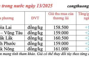 Giá tiêu hôm nay 13/3/2025 bật tăng trở lại