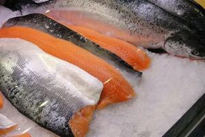 Bất thường lô cá hồi nhập khẩu, cơ quan hải quan vào cuộc