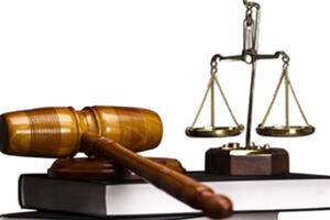 Các trường hợp đất không đưa vào sử dụng, bị thu hồi được pháp luật quy định như thế nào?