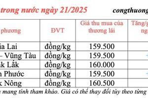 Giá tiêu hôm nay 21/3/2025 trong nước tăng nhẹ