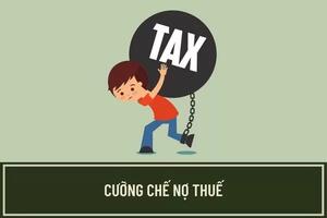 Tập đoàn Thiên Minh Đức đang nợ thuế gần 1.000 tỷ đồng